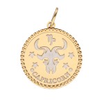 Zawieszka Złota - Znak Zodiaku Koziorożec Duo