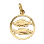 Zawieszka Złota - Znak Zodiaku Ryby w Kole