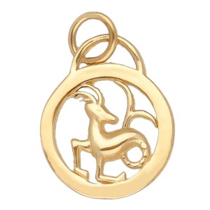 Zawieszka Złota - Znak Zodiaku Koziorożec w Małym Kole